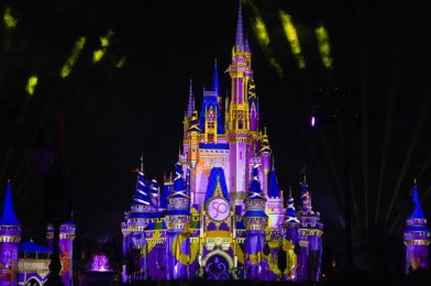 Full Guide to Everything New for the Walt Disney World 50th Anniversary