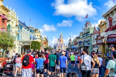 18 — Yes, 18 — Rides Had Average Wait Times Over an Hour in Disney World This Week