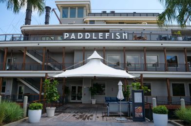 Paddlefish Introducing ‘Secret’ Lunch Pairing Specials Starting February 28 at Disney Springs