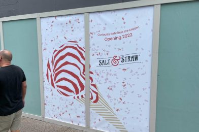 Salt & Straw at Disney Springs Now Hiring As Grand Opening Approaches