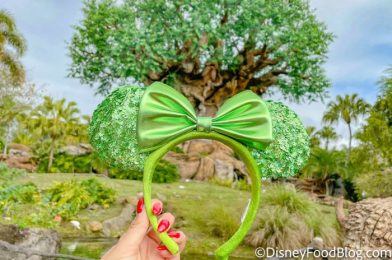 Yay Or Nay? What Do YOU Think About Disney World NEW Floral Ears?