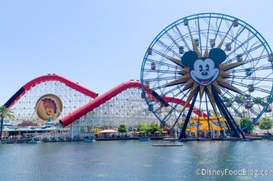 REVIEW: An Incredible Drink at Disneyland’s Festival Is HIDING (with Artichokes?)