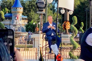 NEWS: CEO Bob Chapek to Host Investor Meeting at Disney World