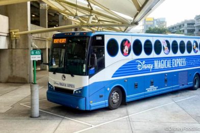 A Replacement Service for Disney’s Magical Express Is Getting BIGGER