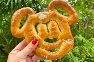 Finally! A Mickey Pretzel That’ll Last Forever (And is Zero Calories!)