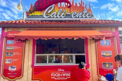 The Snacks are BURSTING with Flavor at One Disneyland Festival Booth!