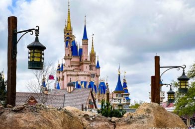 5 Changes to Prepare For Ahead of Your Next Disney World Trip