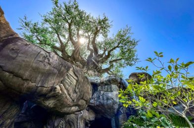 What’s New in Disney’s Animal Kingdom: Pins and Coach Mickey Slides