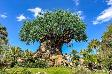 What’s New in Animal Kingdom: A Lost (?!) Merchandise Collection and a 50th Anniversary Item Gets Restocked