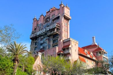 Genuinely Frightening Things That Can Happen In Disney World and How to Deal With Them