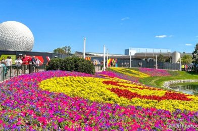 You Can CUSTOMIZE Disney’s Newest Flower and Garden Festival Mug