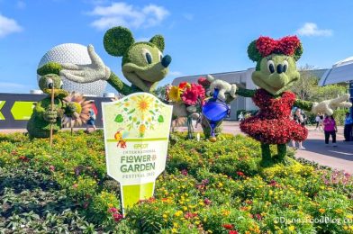 SKIP the EPCOT Crowds and Shop the Flower & Garden Merch HERE Instead!