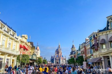 Sorry, Only Birds Get Free Disney World Hotel Rooms