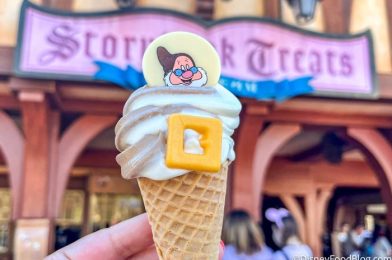 A Popular Magic Kingdom Treat is Currently MISSING