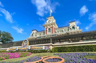 PHOTOS: A NEW Tunnel in Disney World Could Signal a BIG Reopening Soon!