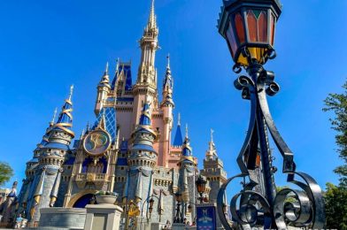 What’s New in Magic Kingdom: ‘Little Mermaid’ Ears and Railroad Construction