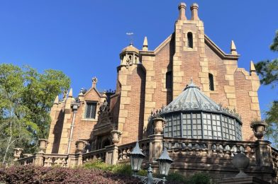 Walt Disney World Railroad Tunnel Expands Beneath TRON Lightcycle Run, ’Hoop-Dee-Doo Musical Revue’ Returning to Pioneer Hall, & More: Magic Kingdom Photo Report 3/29/2022