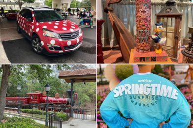 Minnie Vans Returning This Summer, Walt Disney World Railroad Testing Spotted, runDisney Springtime Surprise Merch Revealed, and More: Daily Recap (3/24/22)