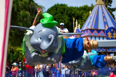 Magic Key Straw, Christmas Trees, Pink Trees & More: Disneyland Resort Photo Report 3/21/22