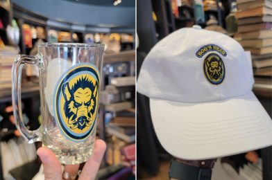 Hog’s Head Mug & Cap Arrive at Universal Studios Hollywood