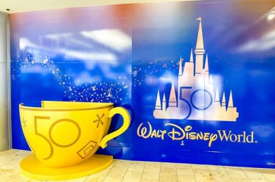 Disney World 50th Anniversary Decorations Being Removed at Orlando International Airport