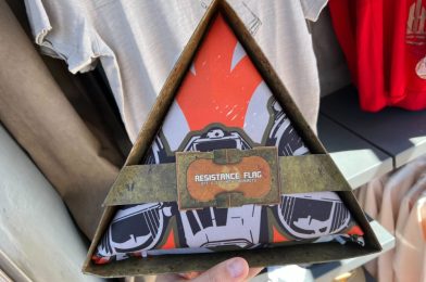 Rise Up with New Resistance Flag in Star Wars: Galaxy’s Edge at Disneyland Park