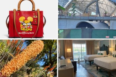 First Look at New 50th Anniversary Coach x Walt Disney World Collection, Walt Disney World Railroad Tunnel Under TRON Lightcycle Run Takes Shape, and More: Daily Recap (3/26/22)