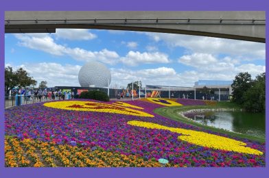 Vegetarian Options at the Epcot International Flower & Garden Festival