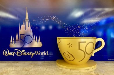 Walt Disney World 50th Anniversary Decorations Being Removed from Orlando International Airport Starting Tonight