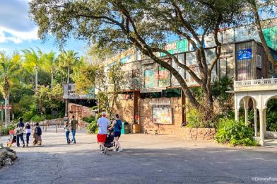 We’re Not Going to Sugar Coat It: Wait Times Are HIGH in Disney World Right Now