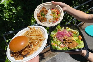 REVIEW: New Flavorless Southwest Salad, Teriyaki Chicken Bowl, and BBQ Pulled Pork Burger Debut at Backlot Express in Disney’s Hollywood Studios