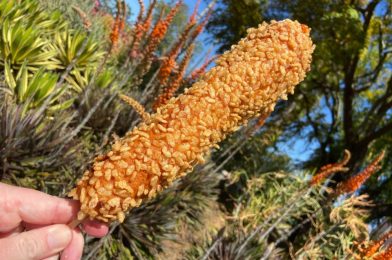 REVIEW: Bring a Friend to Conquer the Giant Mozzarella Stick from Blue Ribbon Corn Dogs in Downtown Disney District