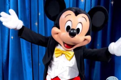 Disney to Release More Information about Non-Distanced Character Meet and Greets Tomorrow