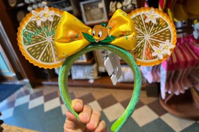 Orange Bird Minnie Ear Headband Flies into Disneyland Resort