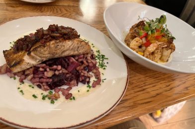 REVIEW: Fantastic Seafood Dinner at Wind & Waves Grill at Disney’s Vero Beach Resort