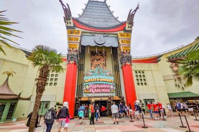 DFB Video: Insider SECRETS for Your First Trip to Disney World