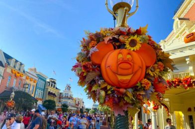 Everything RETURNING to Mickey’s Not-So-Scary Halloween Party in Disney World in 2022