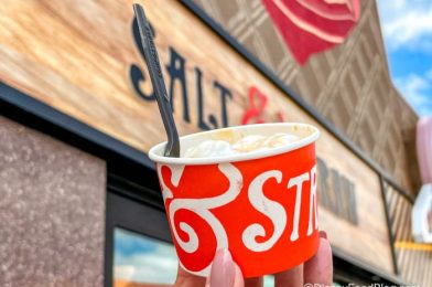 EXCLUSIVE Look at Salt & Straw’s Upcoming Flavors in Disney World!