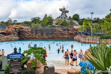 Florida Residents Can Get 2 Water Park Tickets for the Price of 1 at Disney World!