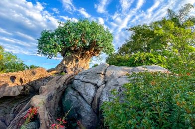 What’s New in Disney’s Animal Kingdom: Souvenirs That…Don’t Belong Here?