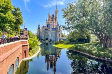 5 Things That Will Be Different in Disney World This May