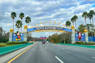 The Major Roadblock Florida May Have in Dissolving Disney World’s Reedy Creek Improvement District