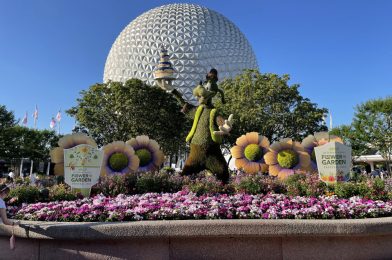 More Rockwork Added to Journey of Water Inspired by ’Moana’, Vault Collection Orange Bird Top Flies In, & More: EPCOT Photo Report 4/26/2022