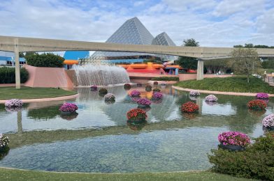 New Annual Passholder Flower Pot Mugs Arrive, 50th Anniversary Rubik’s Cube, & More: EPCOT Photo Report 4/24/2022