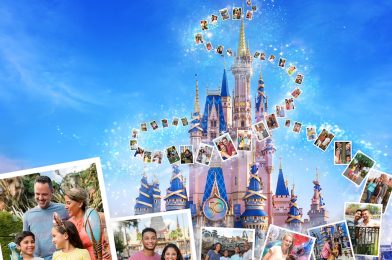 Cinderella Castle Virtual Mural Features DVC Flair