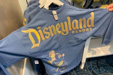 New EARidescent Shimmer Spirit Jersey Available at Disneyland Resort