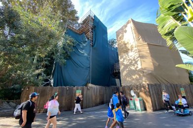 Entrance and Bridge of Former Tarzan’s Treehouse Being Demolished at Disneyland