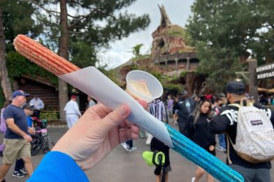 REVIEW: Fruity Berries & Cream Churro Available at Disneyland