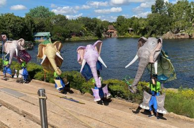 Impending Changes to Disney KiteTails May Indicate Removal of Performers at Disney’s Animal Kingdom