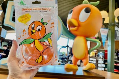 New Orange Bird Jellies Candy Available at Walt Disney World